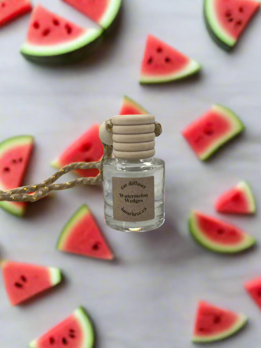 Watermelon Wedges Car Diffuser