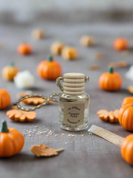Pumpkin Patch Car Diffuser