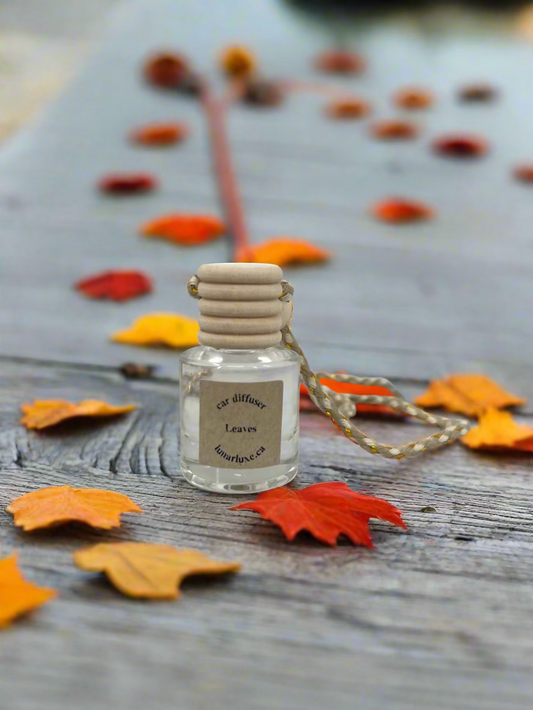 Leaves Car Diffuser